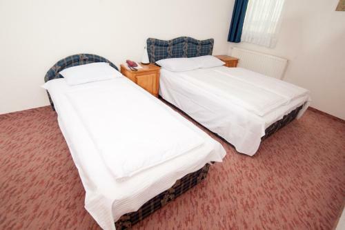 Hotel Adria Ski