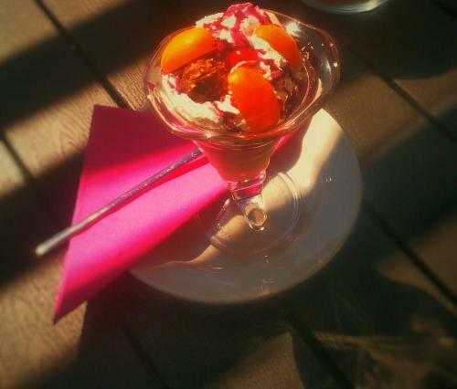 Hotel Adria Ski
