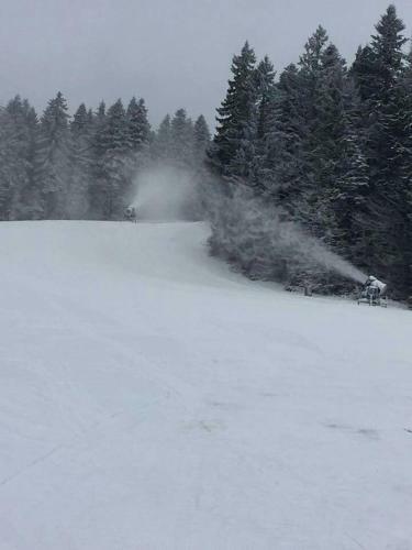 Hotel Adria Ski