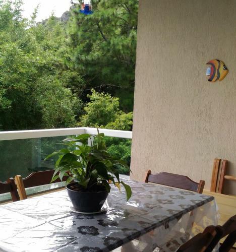 Apartamento Bay Concei��o