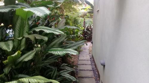 Apartamentos Gente Feliz