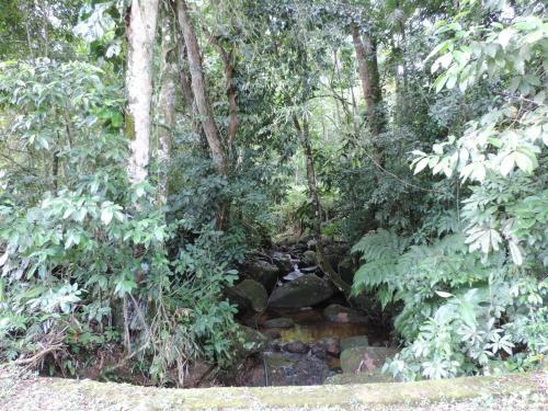 Casa Orqu�deas Ubatuba Praia Da Lagoinha