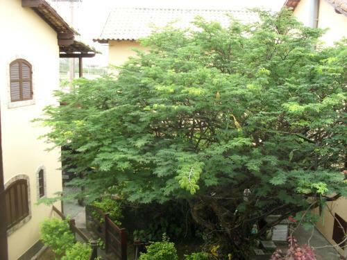 Hostal Estalagem Tatu�