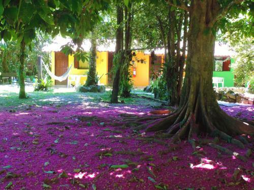 Hostal Pousada Sitio Das Flores