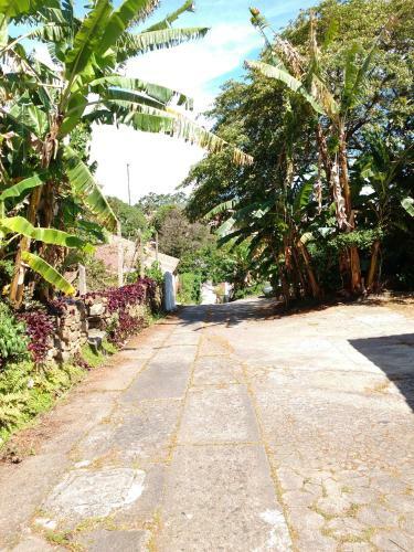 Apartamento Apto Lagoa Da Concei��o