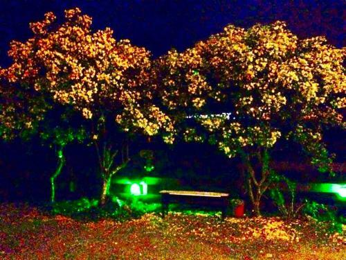 Hostal Pousada Arco �ris