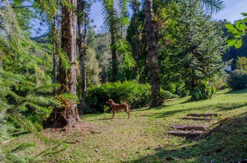 Rancho Do Pav�o Charmoso Chal�