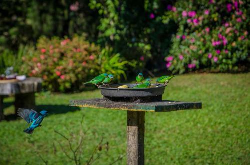 Rancho Do Pav�o Charmoso Chal�