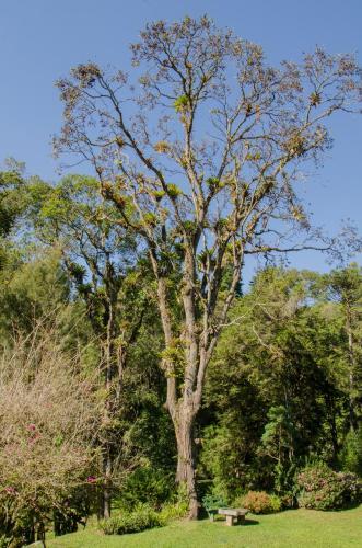 Rancho Do Pav�o Charmoso Chal�