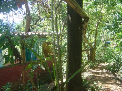 Org�nica-mente B&B