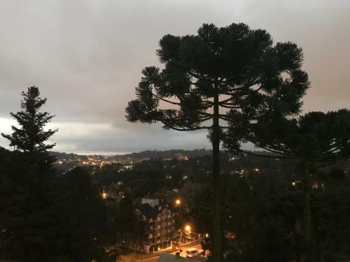 Apartamento Orsi