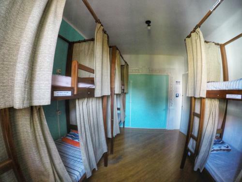 Red Monkey Hostel