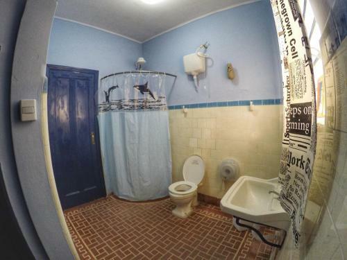 Red Monkey Hostel
