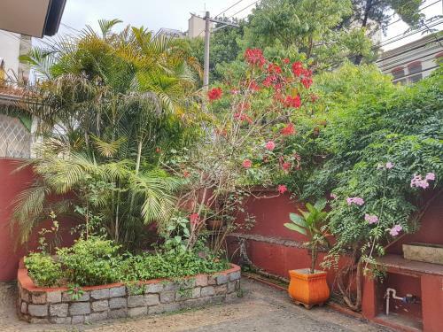 Red Monkey Hostel