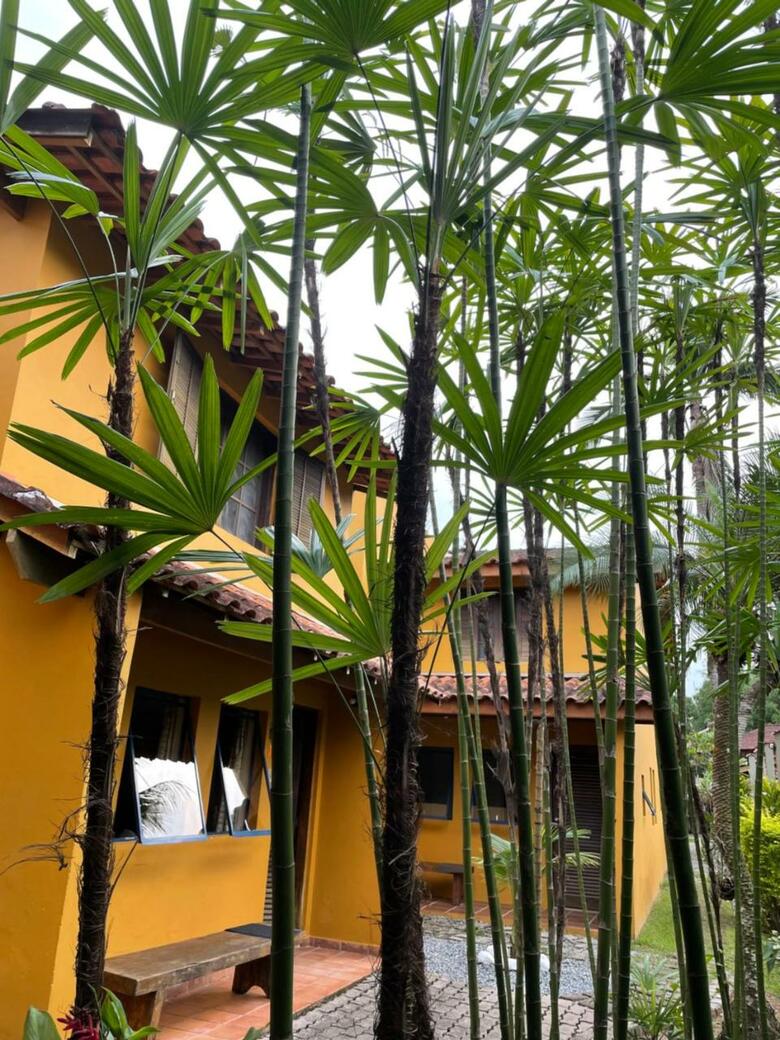 Chal�s �gua De Coco