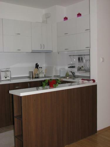 Two-bedroom Apartment Donika