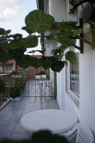 Hotel Andreev