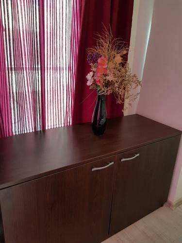 Mariya's Apartments