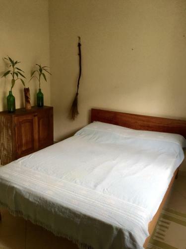 Casa Flor
