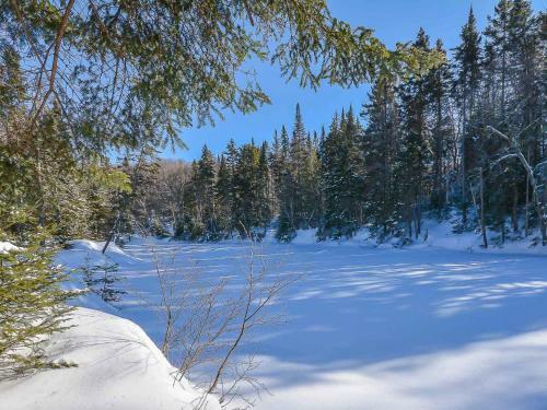 Apartamentos Condo Tremblant Versant Nord / Bord de L 'eau