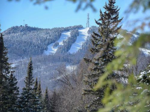 Apartamentos Condo Tremblant Versant Nord / Bord de L 'eau