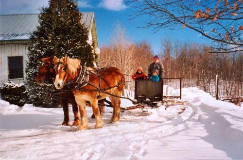 Au Domaine G�te Vall�e Des Roseaux B&B
