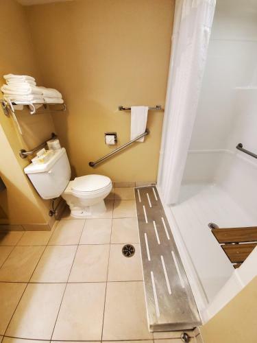 Holiday Inn Sarnia Hotel & Conference Centre