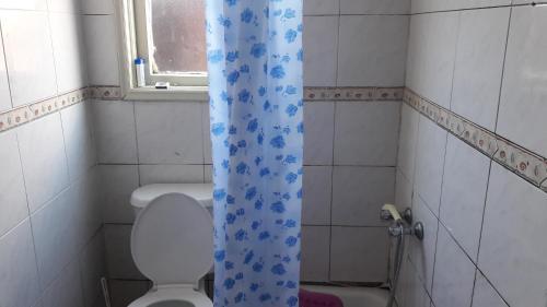 Hostal Caupolican 121