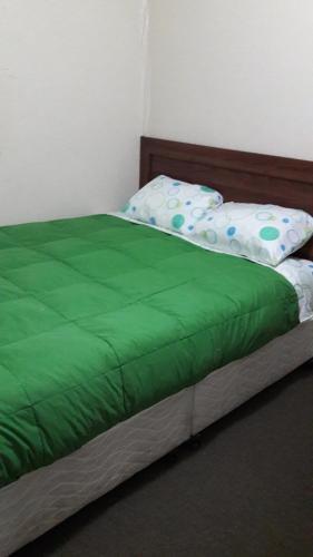 Hostal Caupolican 121