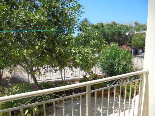 Niki Court Holiday Apartments