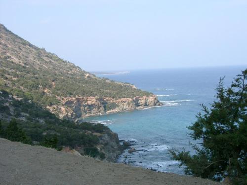 Papas Villa 3