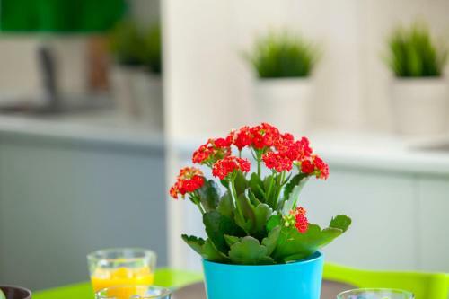 Apartamento Suite For You