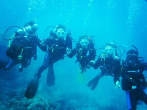 Albergue Taganga Paradise Hostal & Diving