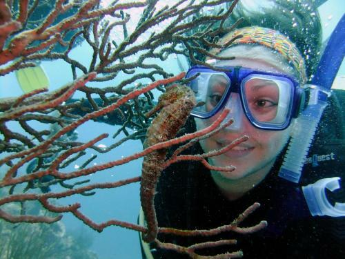 Albergue Taganga Paradise Hostal & Diving