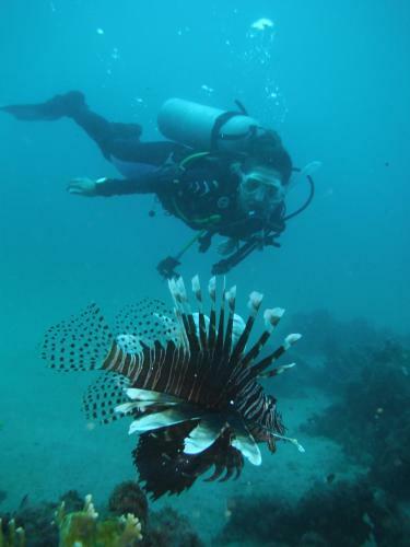 Albergue Taganga Paradise Hostal & Diving