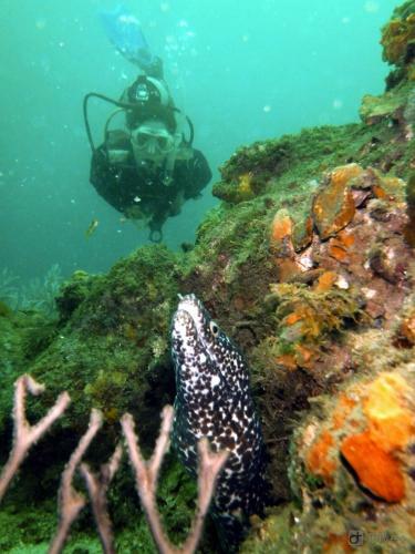 Albergue Taganga Paradise Hostal & Diving