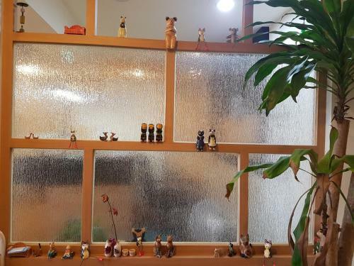 Hostal Sokcho & Guesthouse