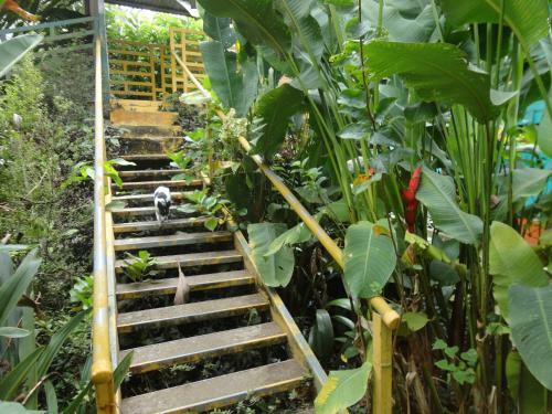 Hostal Hostel Casa Chirripo