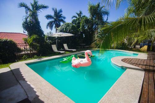 Wipeout Hostel