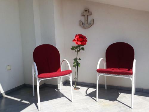 Hostal Garfild Guest House
