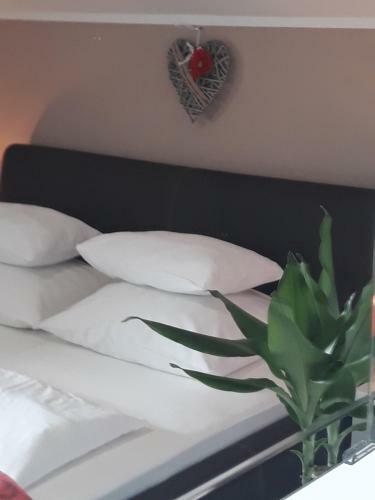 Hostal Garfild Guest House