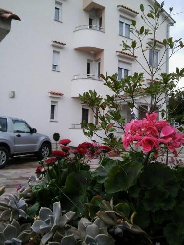 Hostal Garfild Guest House
