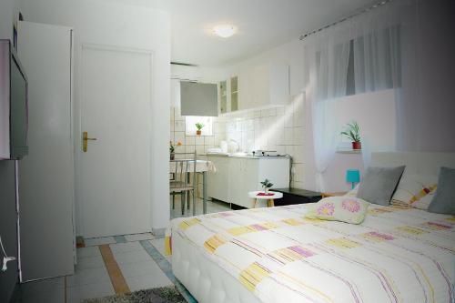 Apartamentos Studio Carino