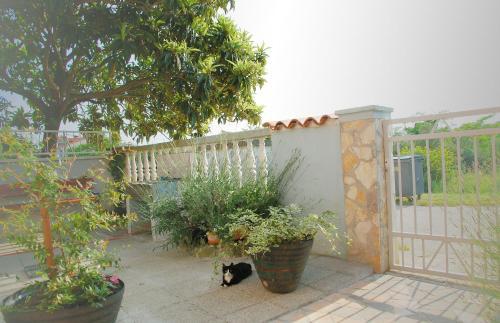 Apartamentos Studio Carino