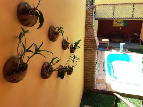 Hostal Varanda Das Orqu�deas Pousada E B&B