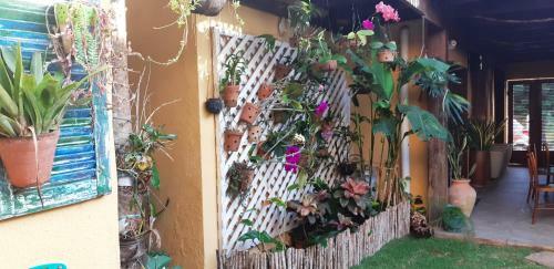 Hostal Varanda Das Orqu�deas Pousada E B&B
