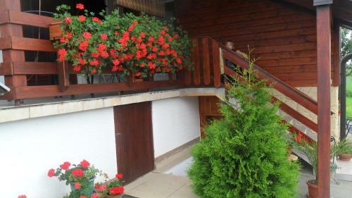 Apartments Marija