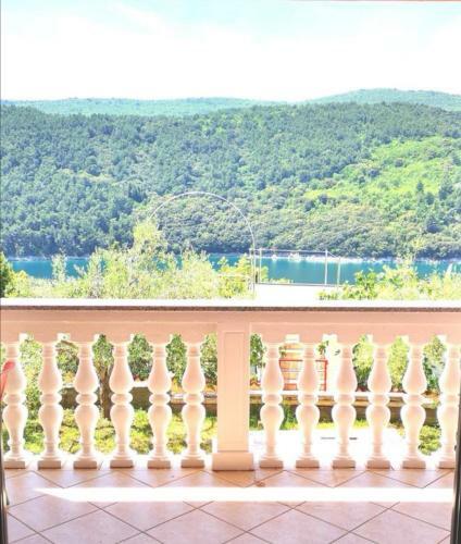 Apartments Alenka