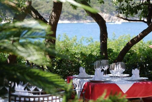 Hotel Villa Barbat