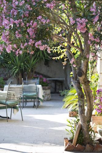 Hotel Villa Barbat